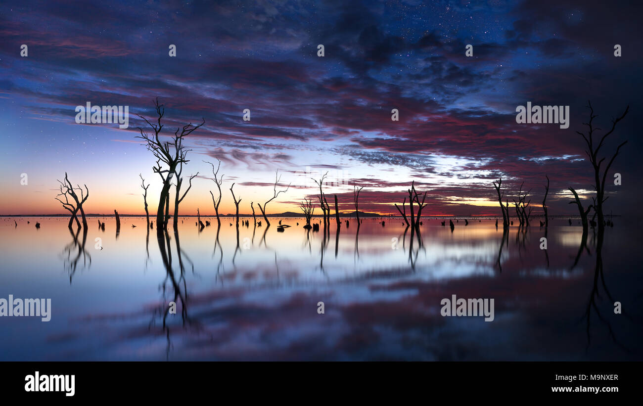 Kow Swamp Archaeological Stock Photo