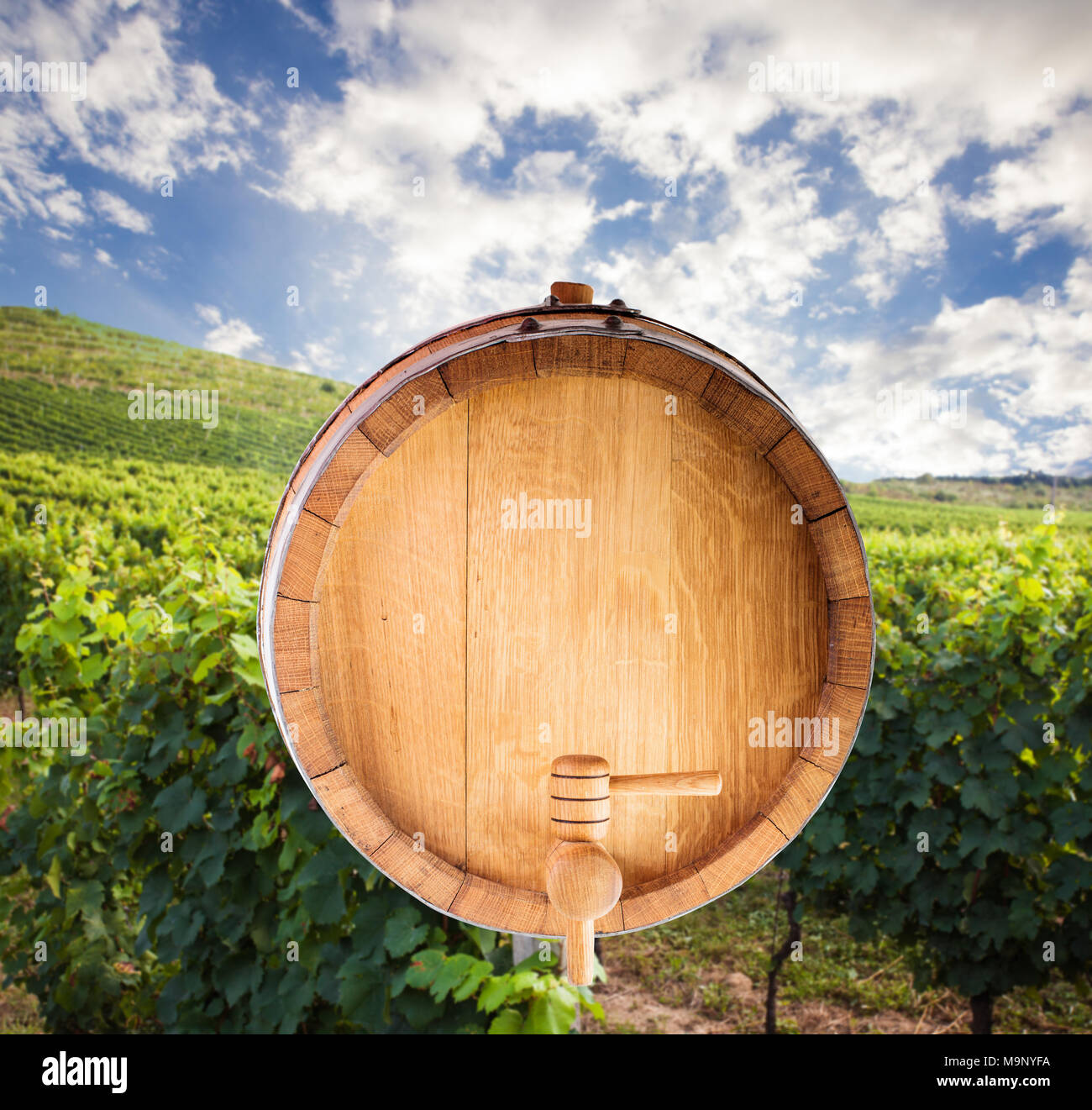 утор бочки. бассейн из кольца жби 2 метра. бочка деревянная средневековье. крышка деревянной бочки. деревянная бочка вид сверху.