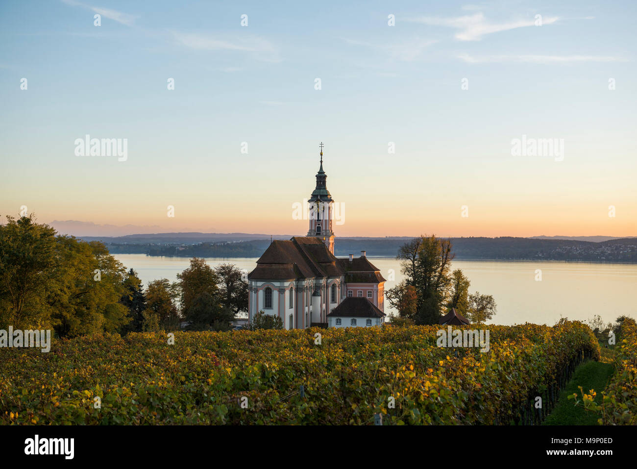 Pilgrimage church Birnau with vineyards in autumn, evening light, Uhldingen-Mühlhofen, Lake Constance, Baden-Württemberg Stock Photo