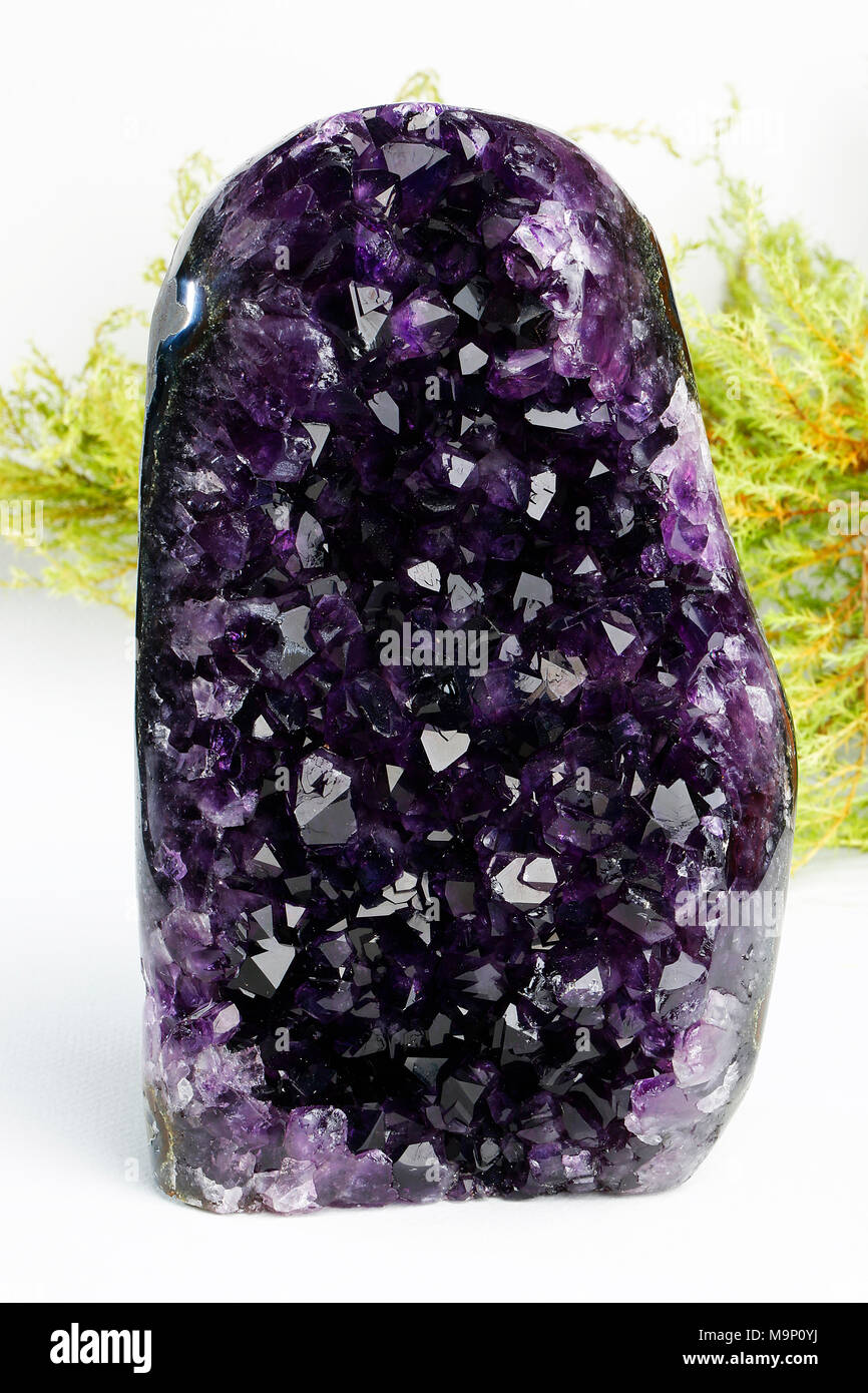 Amethyst geode on black background. Beautiful natural crystals gemstone