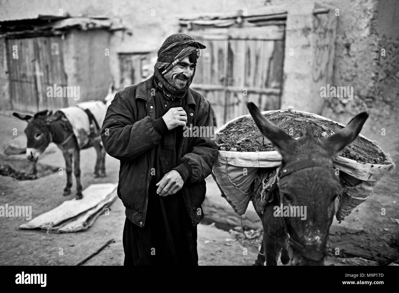 An Afghan laborer takes a break while loading his donkeys in Kabul, Afghanistan, Friday, November 20, 2009. Stock Photo