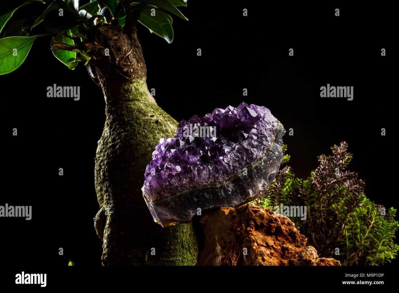 Amethyst geode on black background. Beautiful natural crystals gemstone