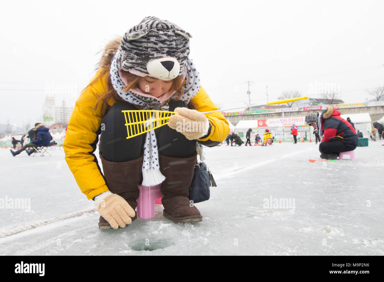 A warmly dressed woman is trying to catch a fish at a frozen river.  The Hwacheon Sancheoneo Ice Festival is a tradition for Korean people. Every year in January crowds gather at the frozen river to celebrate the cold and snow of winter. Main attraction is ice fishing. Young and old wait patiently over a small hole in the ice for a trout to bite. In tents they can let the fish grilled after which they are eaten. Among other activities are sledding and ice skating.  The nearby Pyeongchang region will host the Winter Olympics in February 2018. Stock Photo