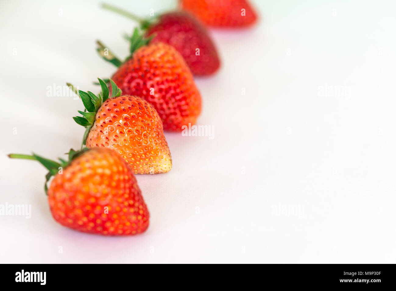 Close up row Ripe strawberries on a white background Stock Photo - Alamy