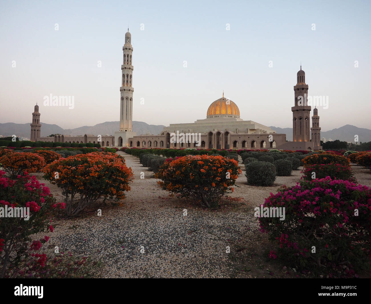 Evening atmosphere, Great Sultan Qabus Mosque, garden with flowering rhododendron, Muscat, Oman Stock Photo