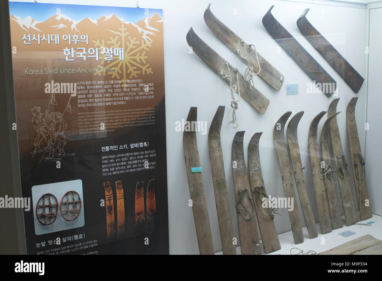 The Deagwallyong museum shows the history of skiing in Korea and the world. On display are Korean sleds, that look like a ski, and have been used since the primitive age.    The Alpensia Resort is a ski resort and a tourist attraction. It is located on the territory of the township of Daegwallyeong-myeon, in the county of Pyeongchang, hosting the Winter Olympics in February 2018.  The ski resort is approximately 2.5 hours from Seoul or Incheon Airport by car, predominantly all motorway.   Alpensia has six slopes for skiing and snowboarding, with runs up to 1.4 km (0.87 mi) long, for beginners Stock Photo