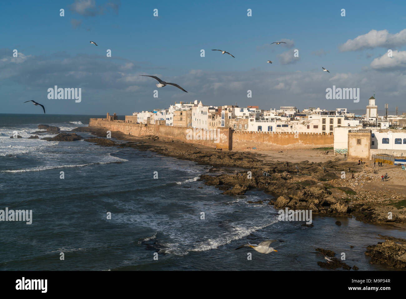 Coast Of Essaouira Hi res Stock Photography And Images Alamy coast-of-essaouira-hi-res-stock-photography-and-images-alamy