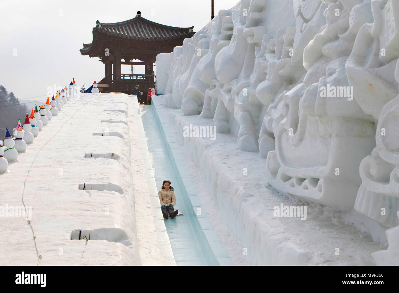 An Asian woman is having fun sledding down a steep ice slope. Hwacheon Sancheoneo Ice Festival. Gangwon-do, South Korea.     The Hwacheon Sancheoneo Ice Festival is a tradition for Korean people. Every year in January crowds gather at the frozen river to celebrate the cold and snow of winter. Main attraction is ice fishing. Young and old wait patiently over a small hole in the ice for a trout to bite. In tents they can let the fish grilled after which they are eaten. Among other activities are sledding and ice skating.    The nearby Pyeongchang region will host the Winter Olympics in February Stock Photo