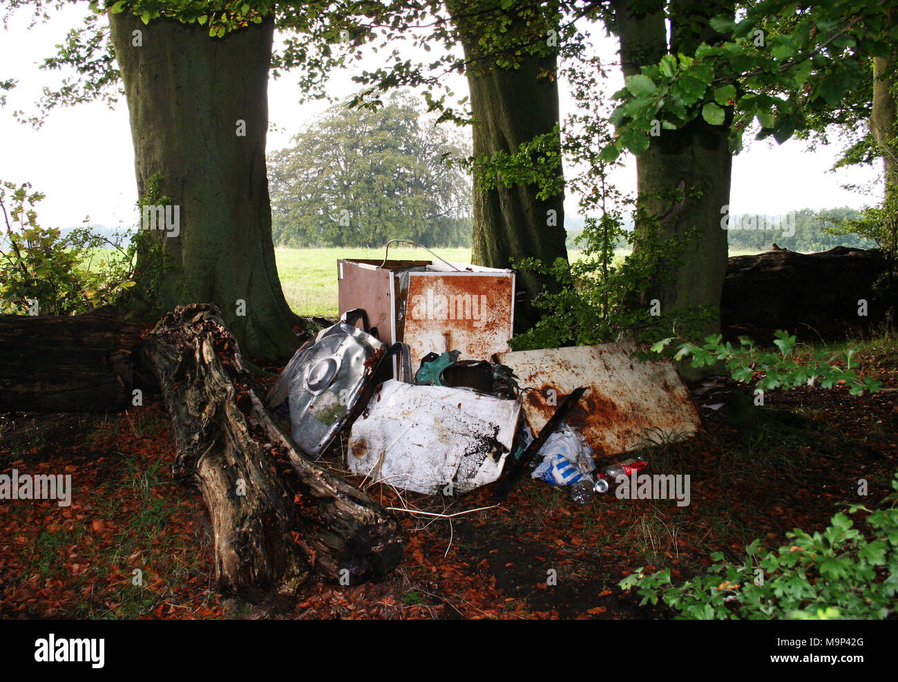 Rubbish dumped in woods. Illegal countryside fly-tipping and rural vandalism spoiling the rural environment in Kent, UK. Stock Photo