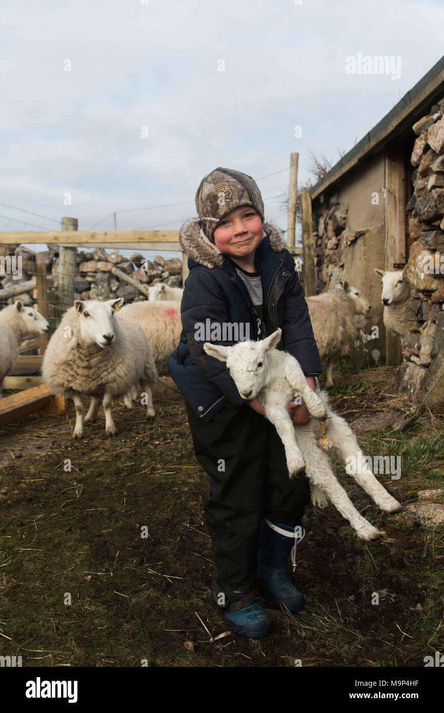 Portrait of farm boy holding lamb and looking at camera, Scotland, UK Stock Photo