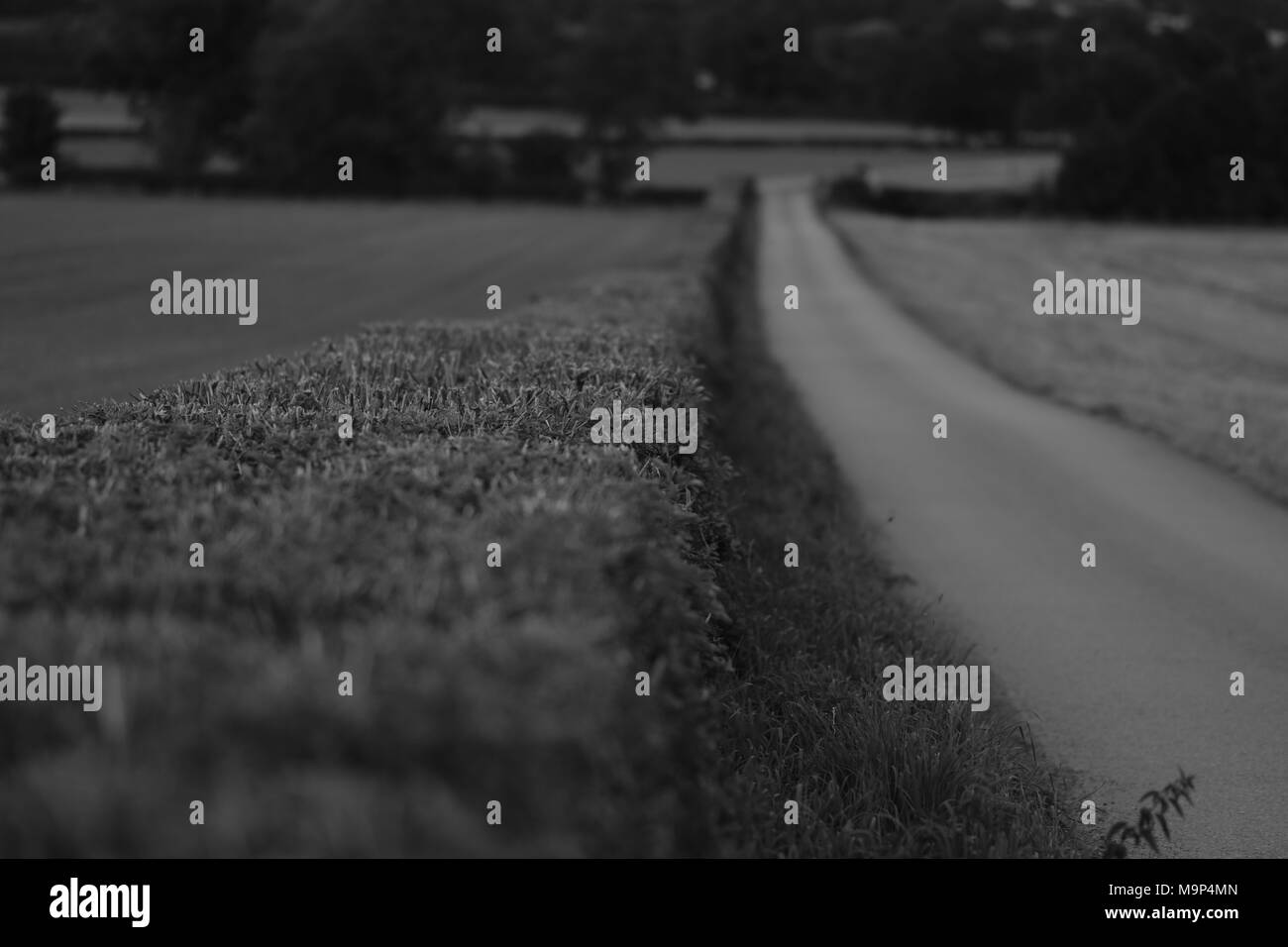 Of derby road Black and White Stock Photos & Images Alamy