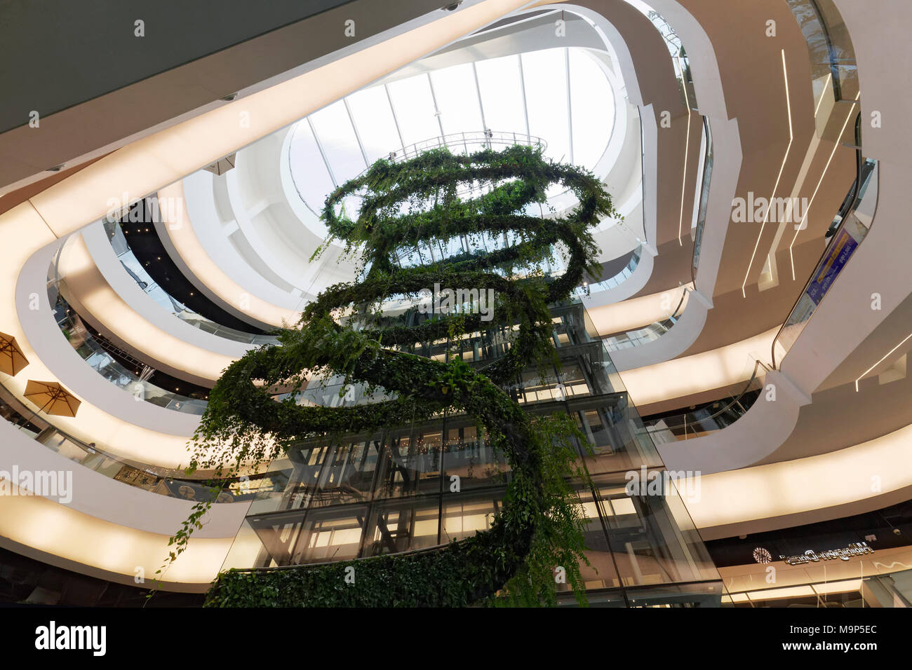 Atrium with green glass elevator hires stock photography and images