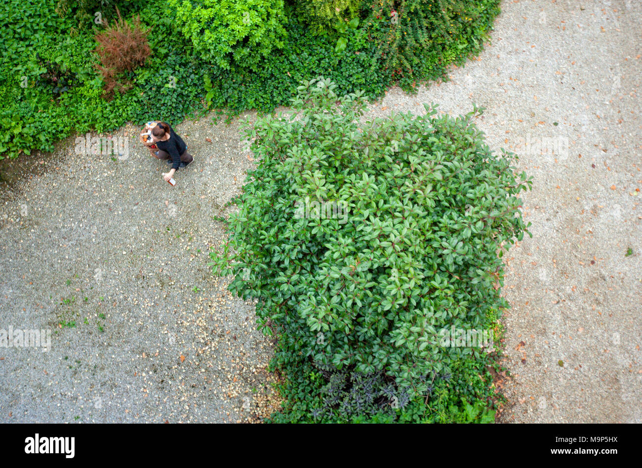 Woman delivering lunch basket at Domaine de Mero, Plonevez du Faou, Brittany, France Stock Photo