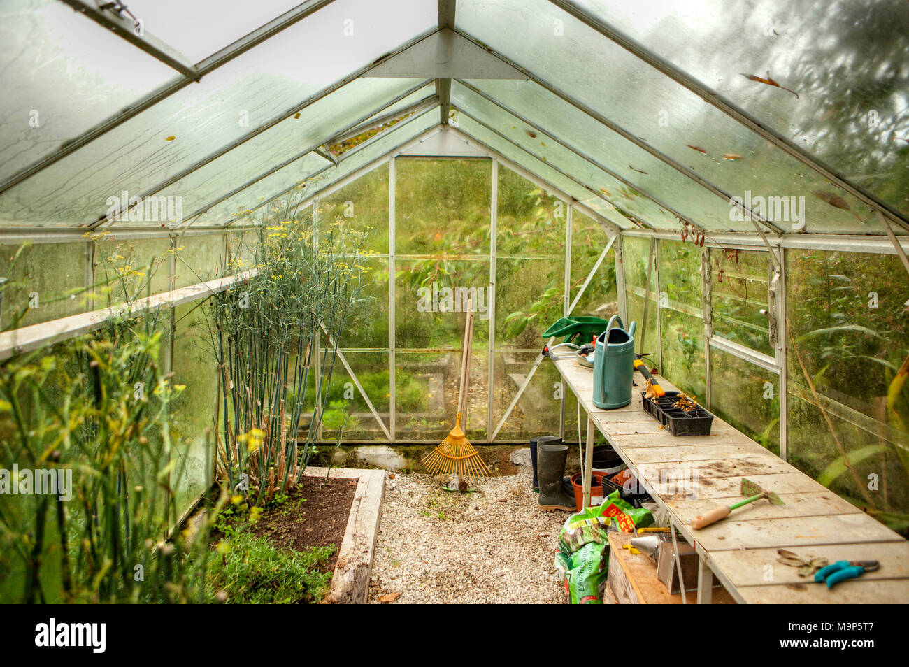 Green house at Domaine de Mero, Plonevez-du-Faou, Brittany, France Stock Photo
