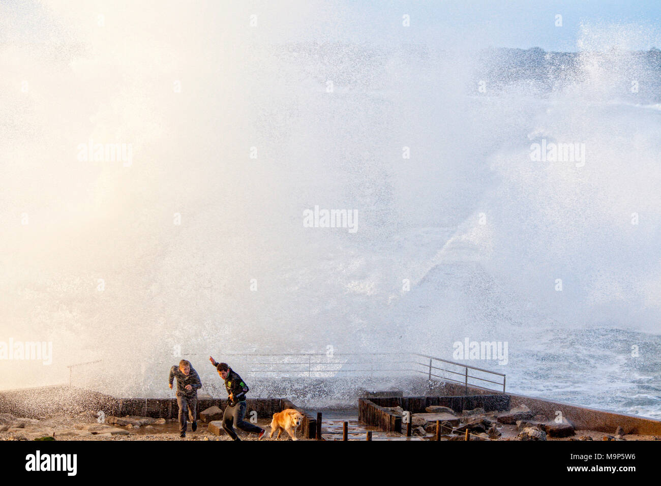 Boys and dog playing with waves during storm, Kerroch, Brittany, France Stock Photo