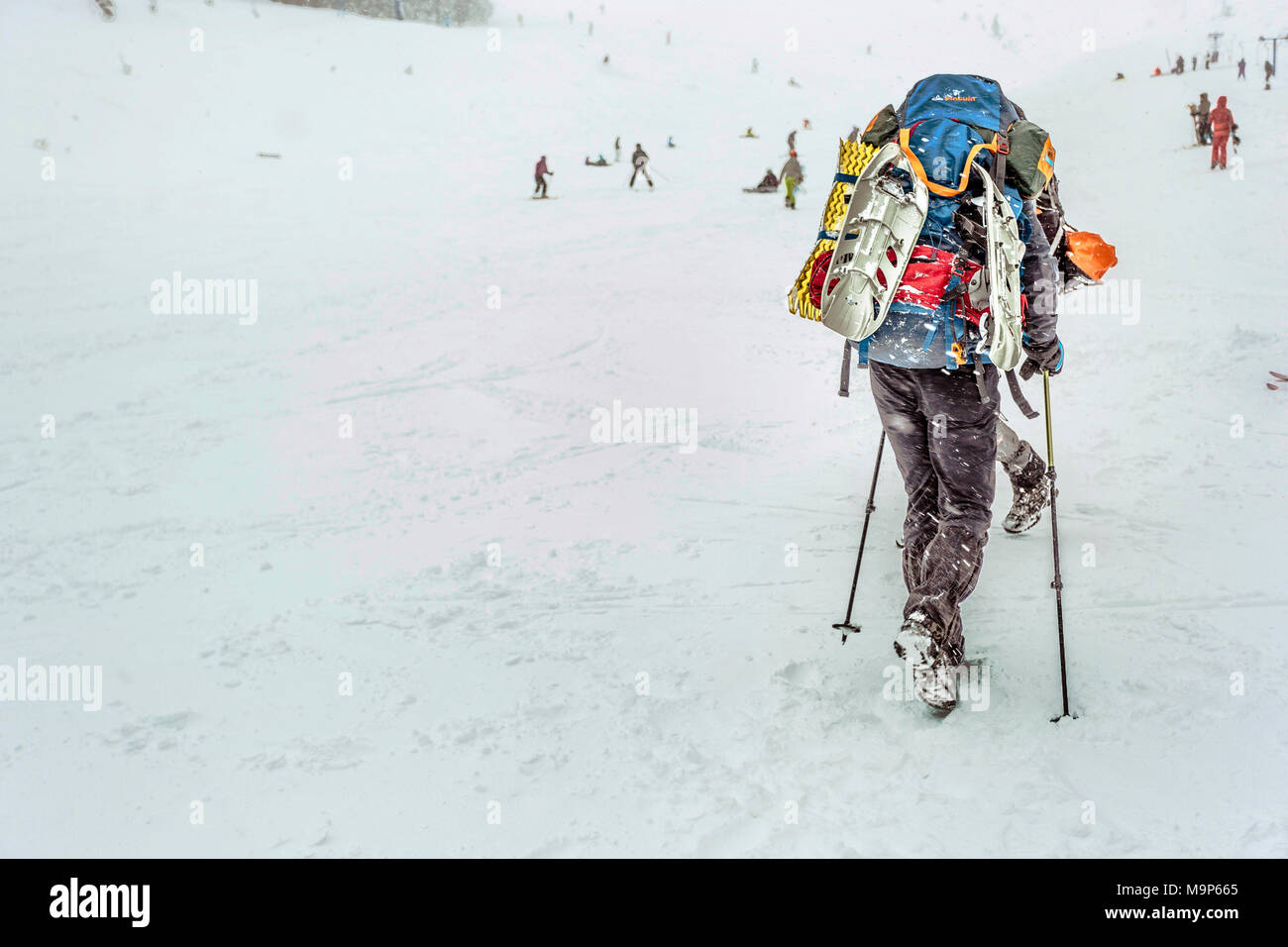 Rear view of man with heavy skiing equipment in snow at Dragobrat Mountains, Ukraine Stock Photo