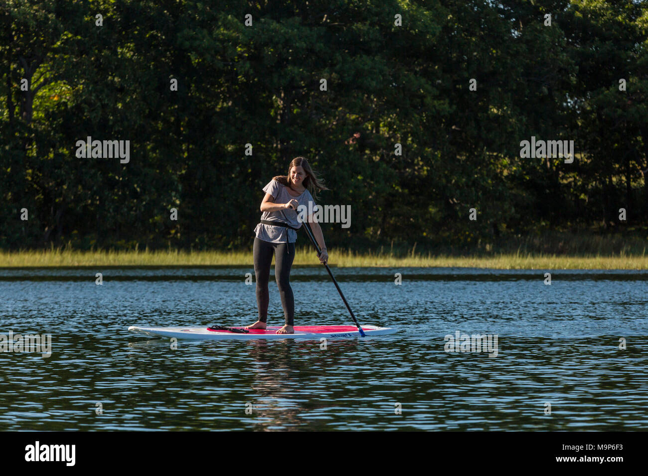 Front view of woman standing up paddleboarding on Essex River at Cox Reservation in Essex, Massachusetts Stock Photo