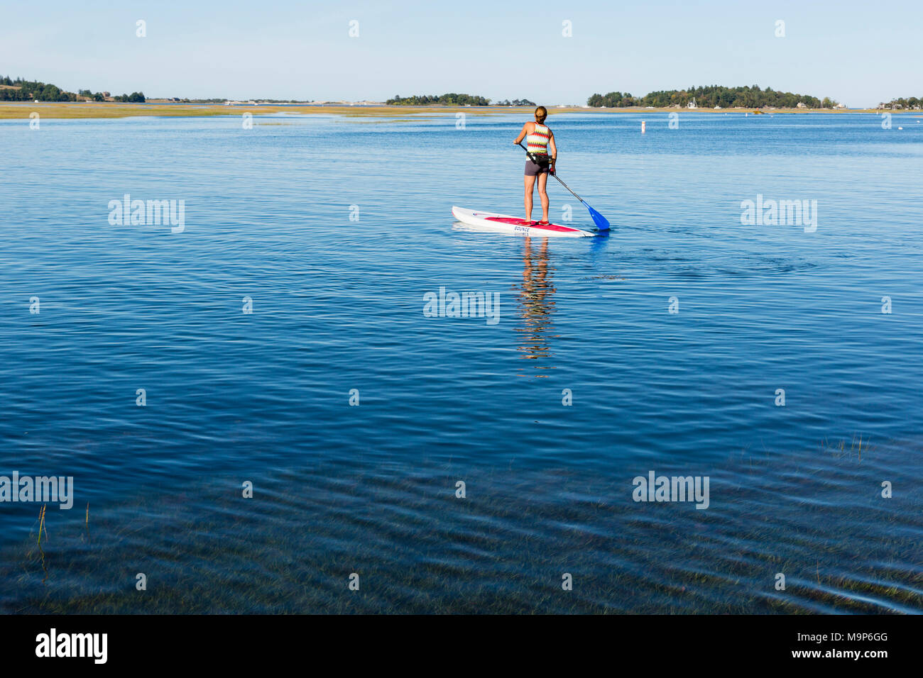 Rear view of woman standing up paddle boarding on Essex River at Cox Reservation in Essex, Massachusetts Stock Photo