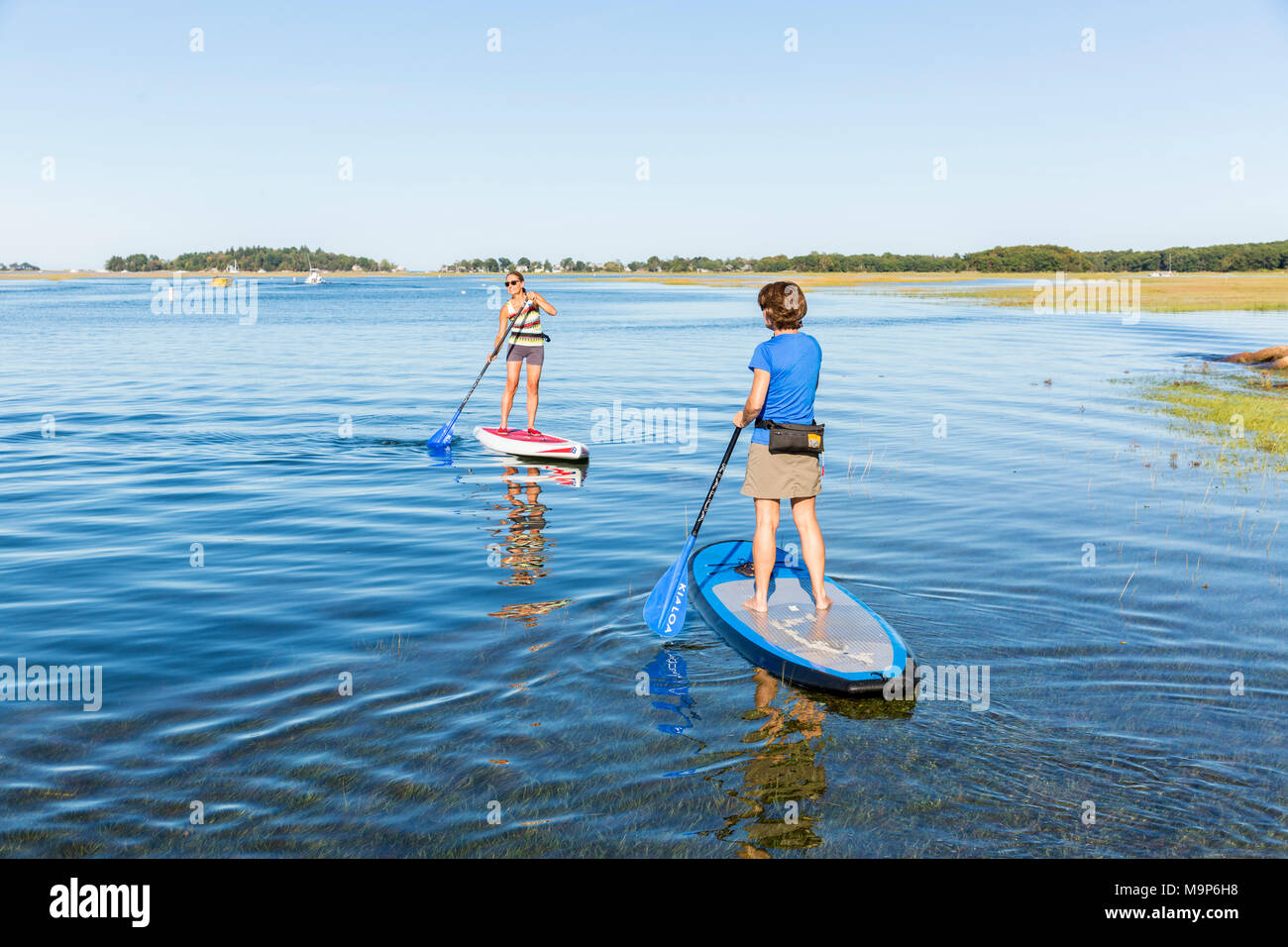 Two women standing up paddle boarding on Essex River at Cox Reservation in Essex, Massachusetts Stock Photo