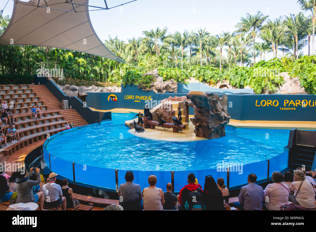 Show with sea lions, Loro Parque, Puerto de la Cruz, Tenerife, Canary Islands, Spain Stock Photo