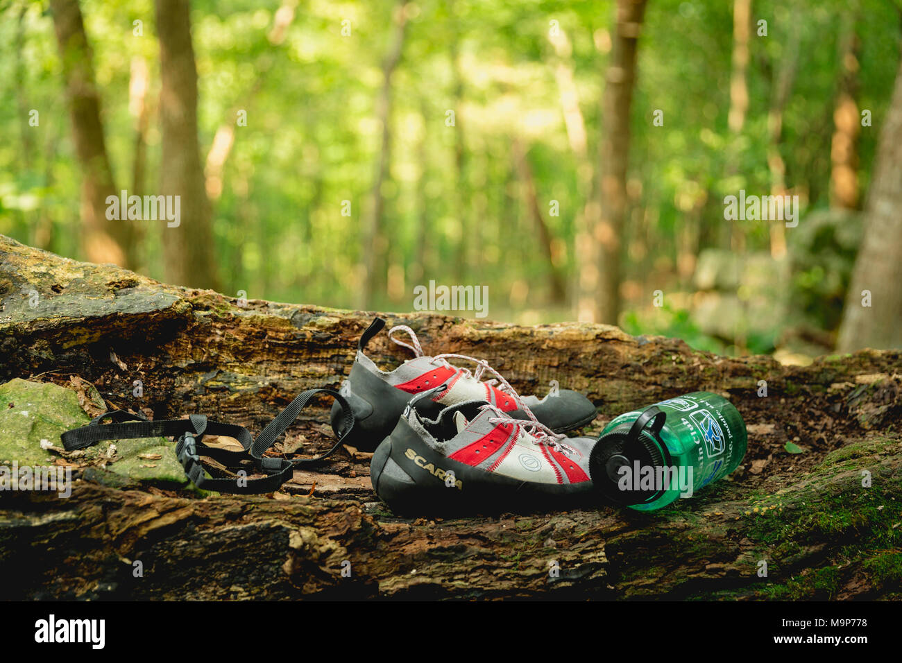 Climbing shoes and water bottle on log with golden light beaming through forest during fall, High Cliff State Park, Wisconsin, USA Stock Photo