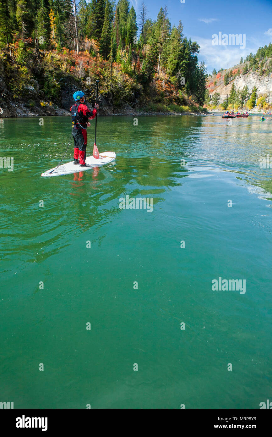 Recreational paddleboarding hires stock photography and images Alamy