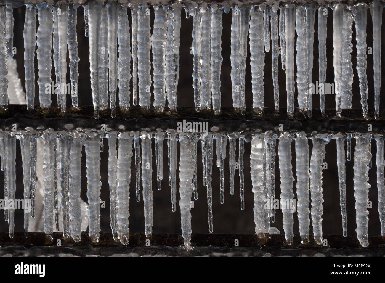 Icicles on a railing, Hesse, Germany Stock Photo