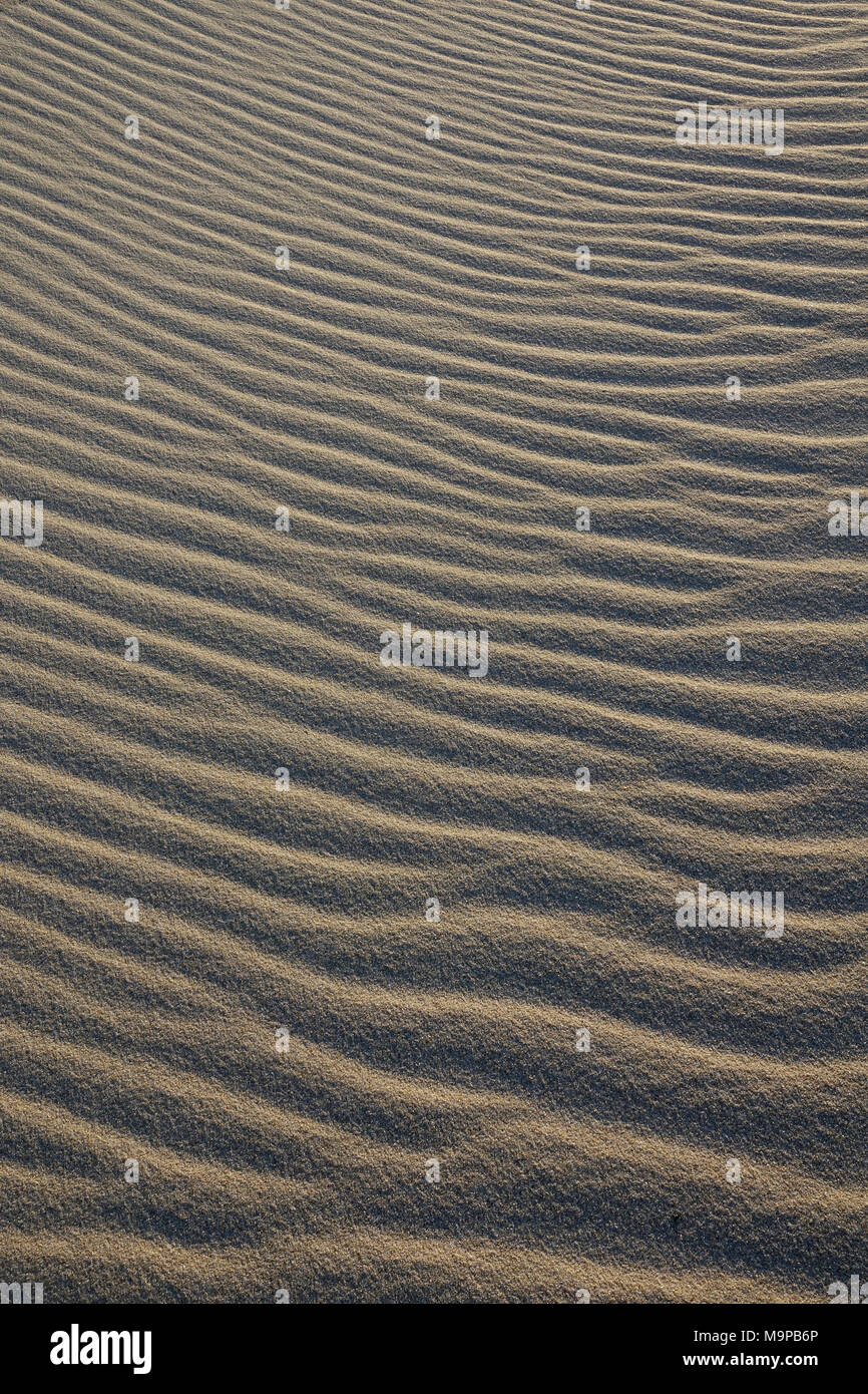 Ripples in sand, sand structure, wave pattern, Sylt, Nordfriesland, Schleswig-Holstein, Germany, background image Stock Photo
