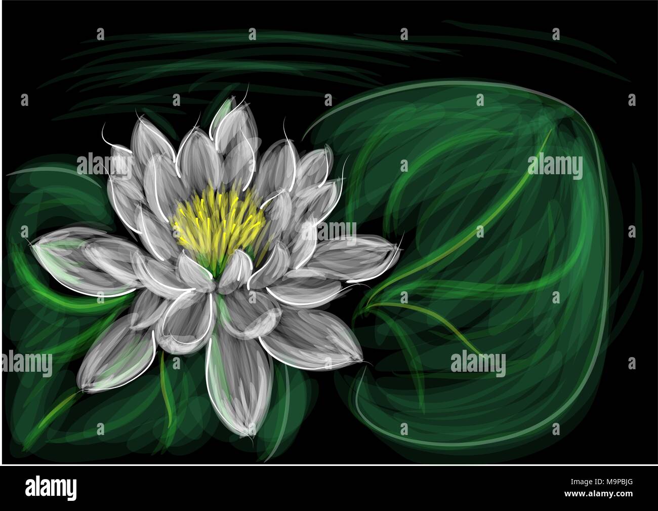 water lily with leaf on dark background Stock Vector