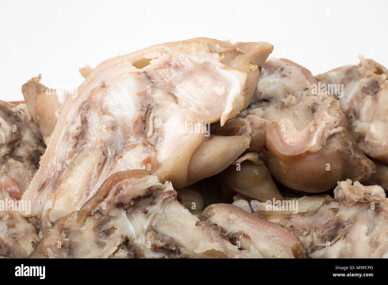 Pigs trotters that have been boiled until tender and split and left to cool before being eaten with a splash of vinegar UK. Pigs trotters are rich in Stock Photo