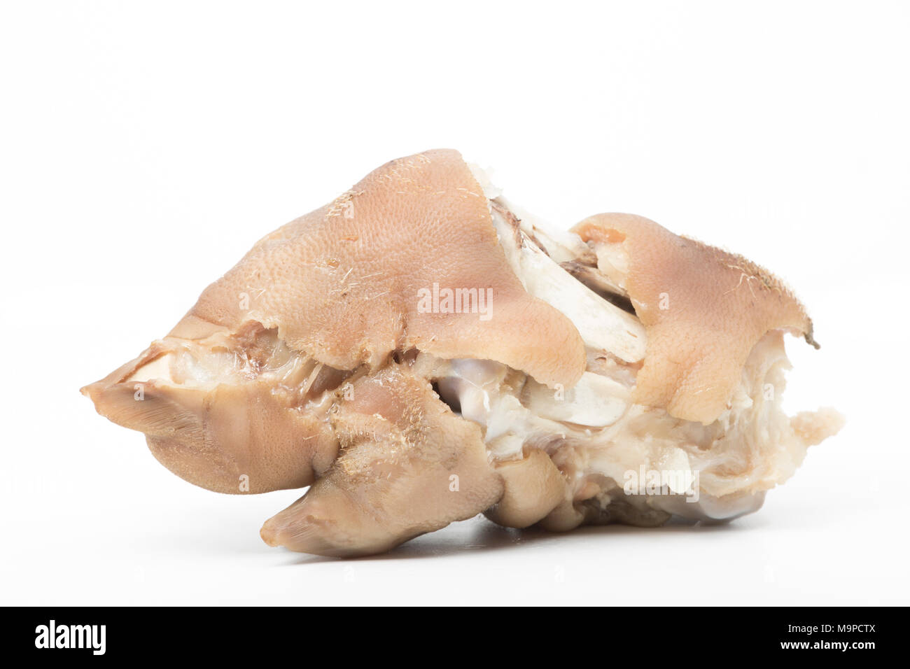 Pigs trotters that have been boiled until tender and left to cool before being eaten with a splash of vinegar UK. Pigs trotters are rich in collagen. Stock Photo