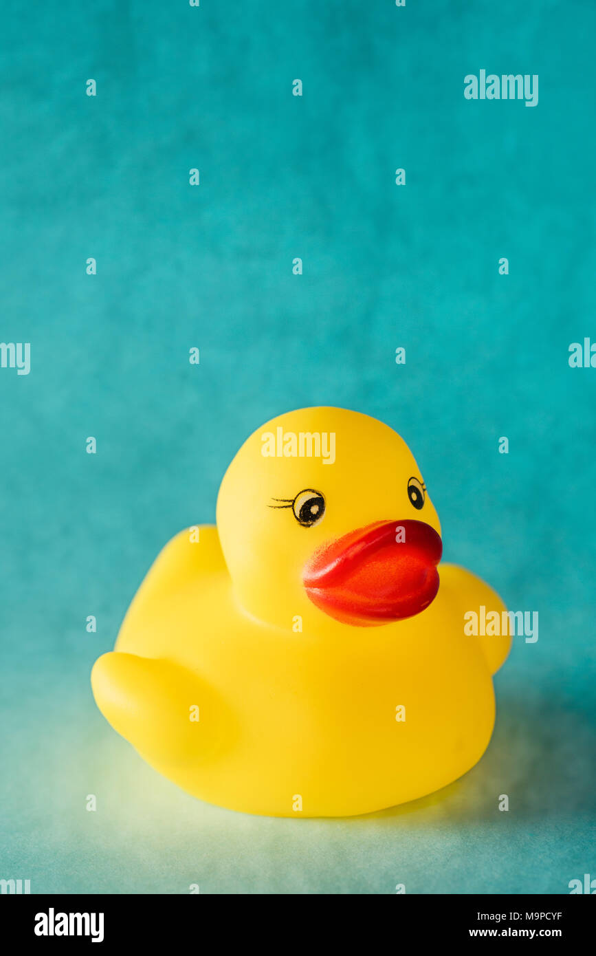 Yellow rubber duck toy on blue background with copy space Stock Photo