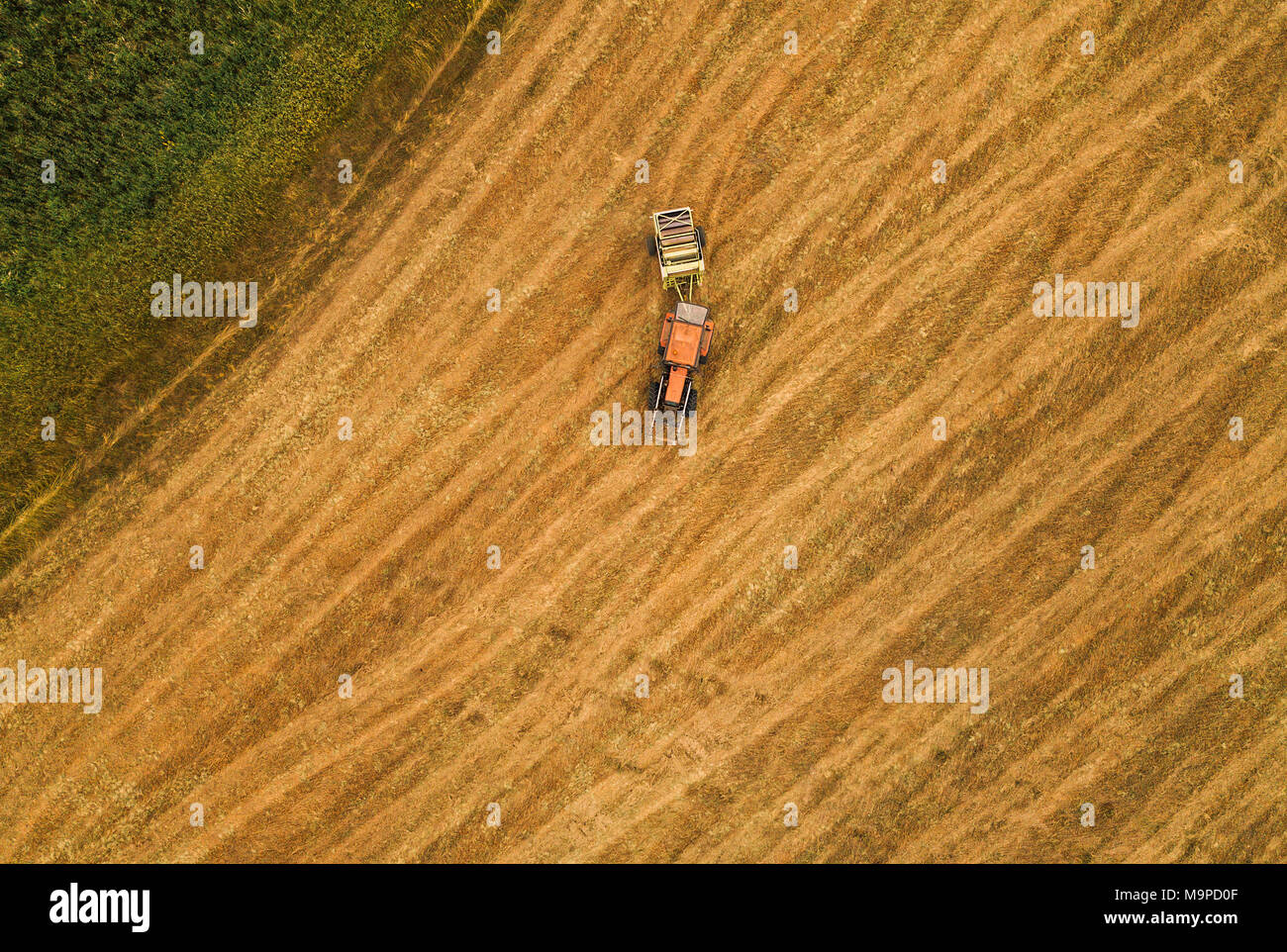 Aerial view of tractor making hay bale rolls in field after wheat harvest, drone pov Stock Photo