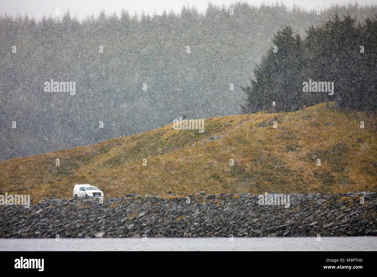 North Wales, UK 28th March 2018, UK Weather:  A further spell of snowfall and colder temperatures hits North Wales with further snow expected in the coming week. A motorist travels along the dam wall at Llyn Brenig during heavy snow showers over the landscape, Cowny County, North Wales © DGDImages/Alamy Live News Stock Photo