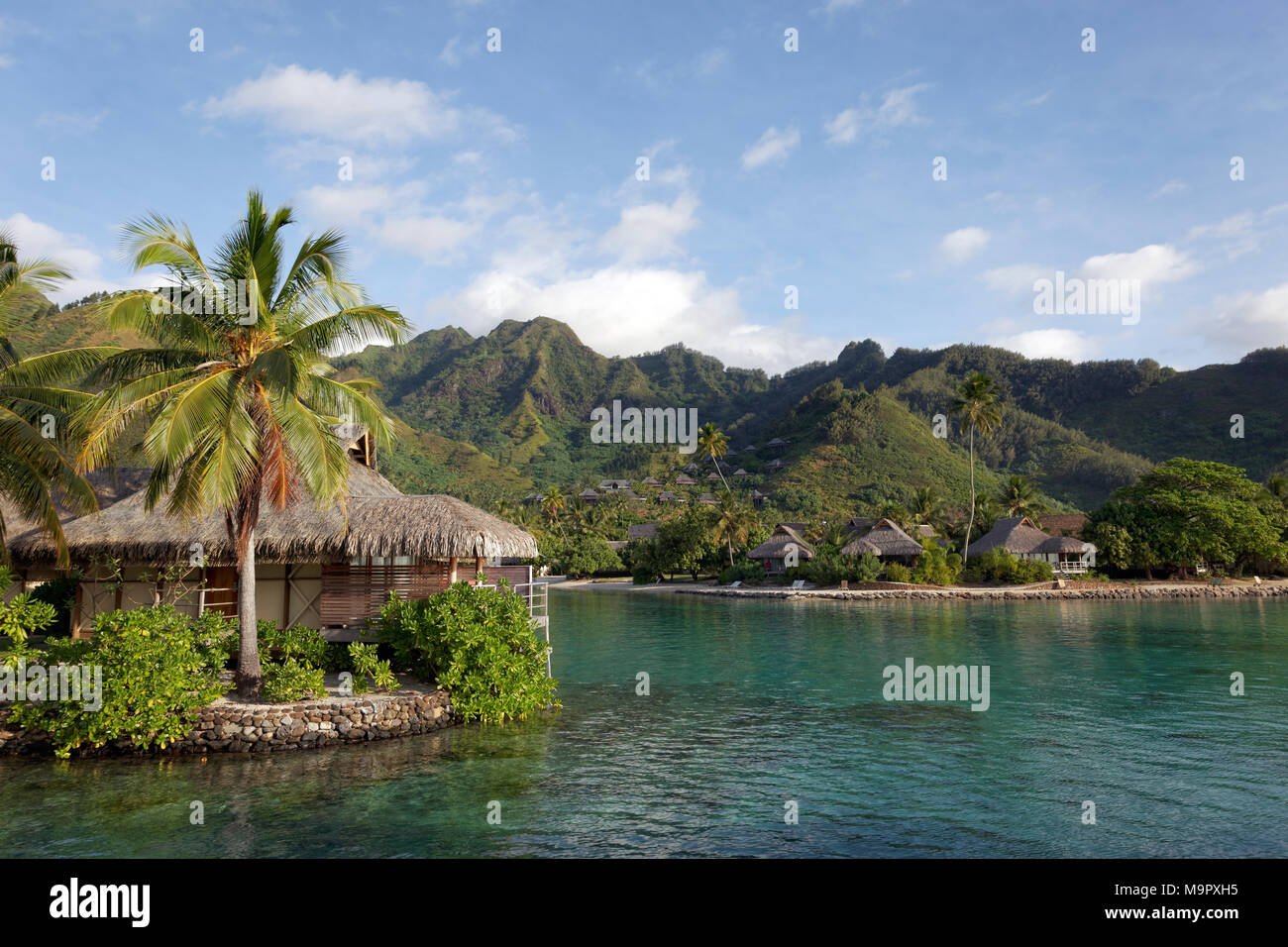 Bungalows by the sea with palm trees in front of green hills, Luxury