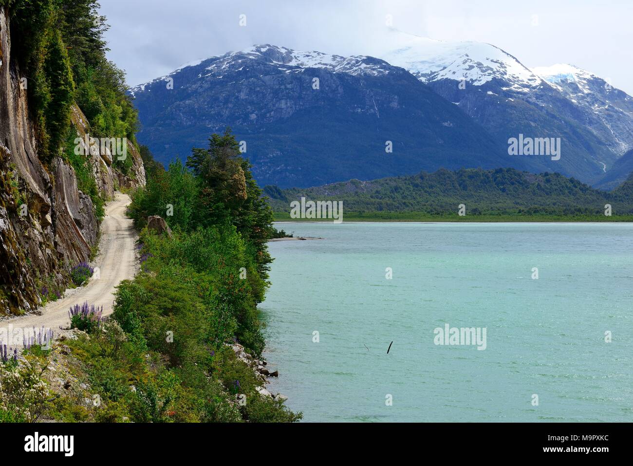 Bayo hires stock photography and images Alamy
