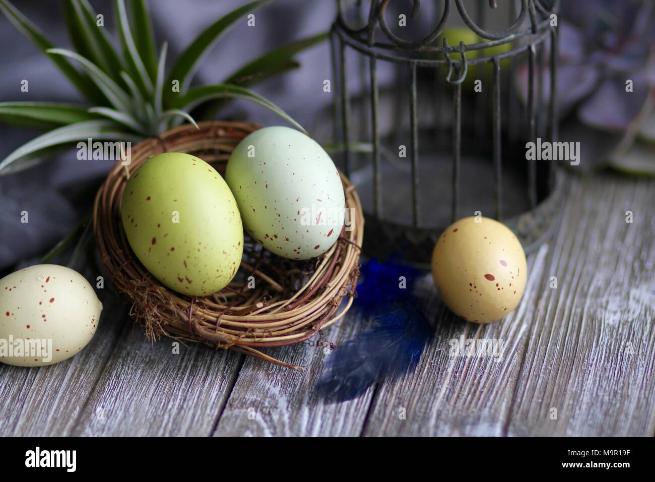 Colorful Easter eggs on wooden table Stock Photo