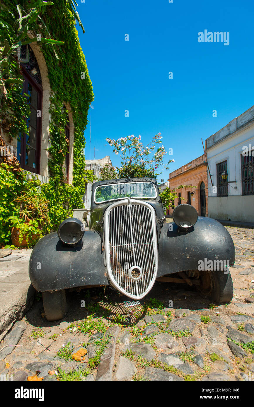 Car wreck of an oldtimer overgrown with flowering plants, Colonia del Sacramento, Uruguay Stock Photo