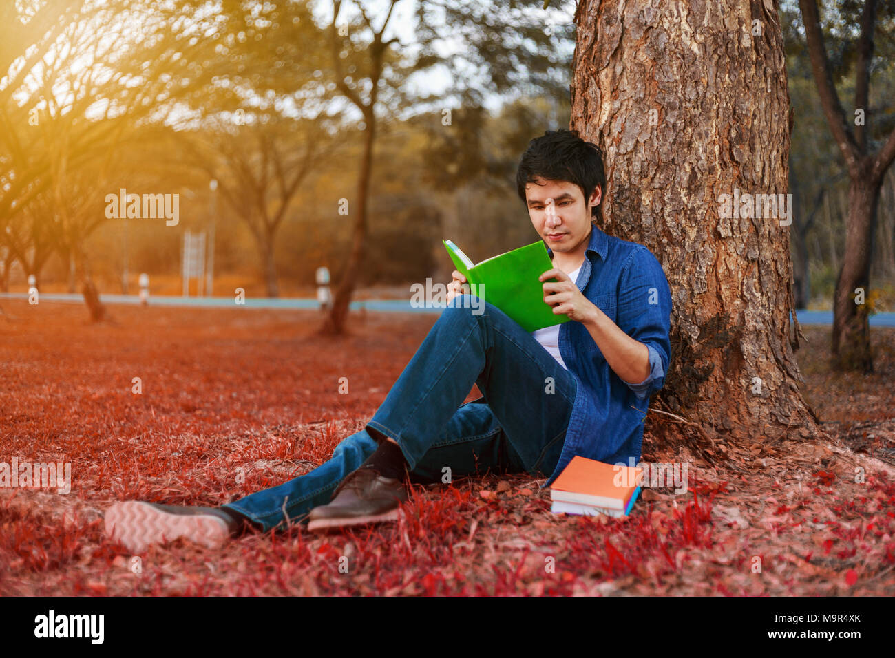young man sitting and reading a book in the park Stock Photo - Alamy