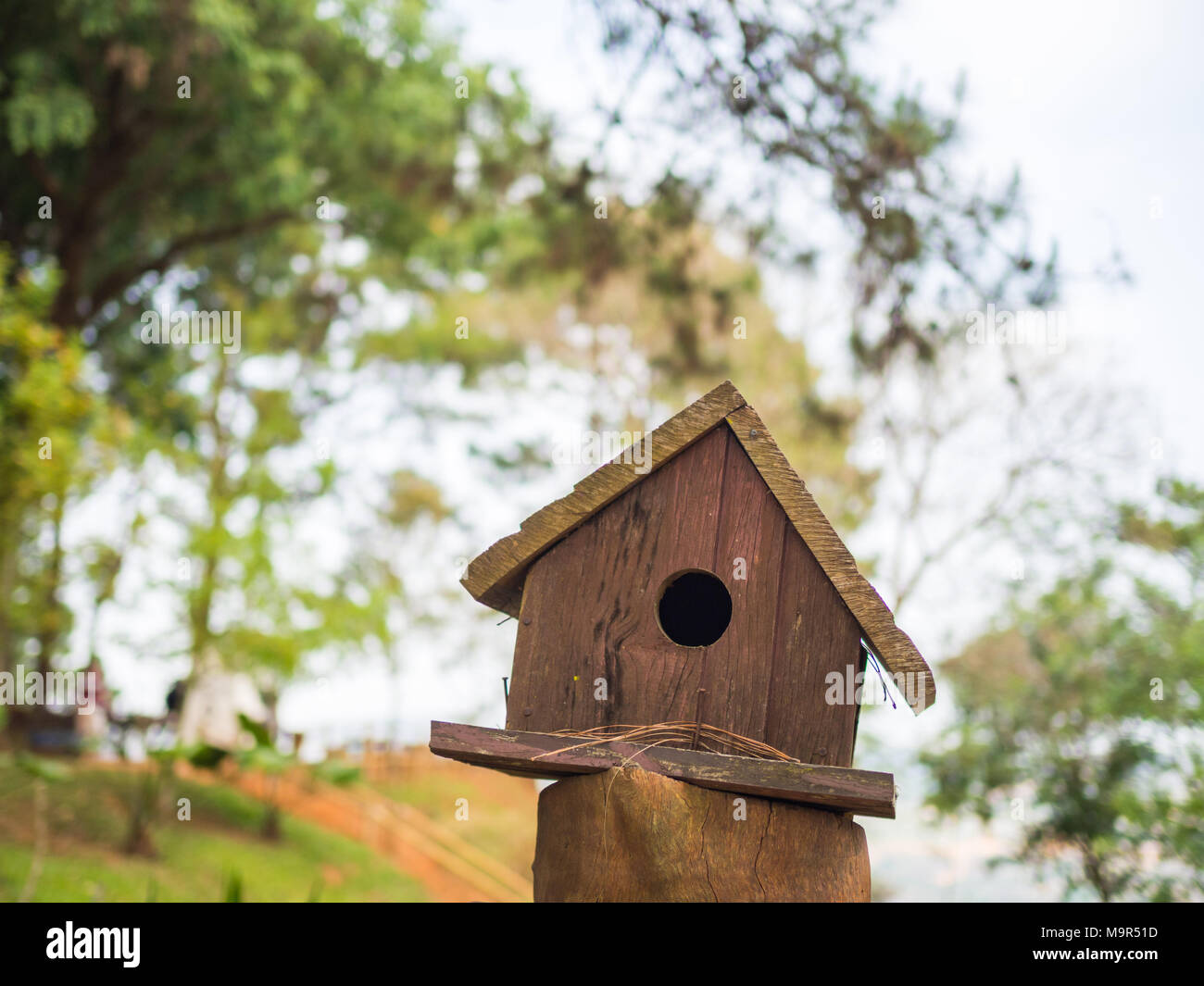 Blue wren nest hires stock photography and images Alamy