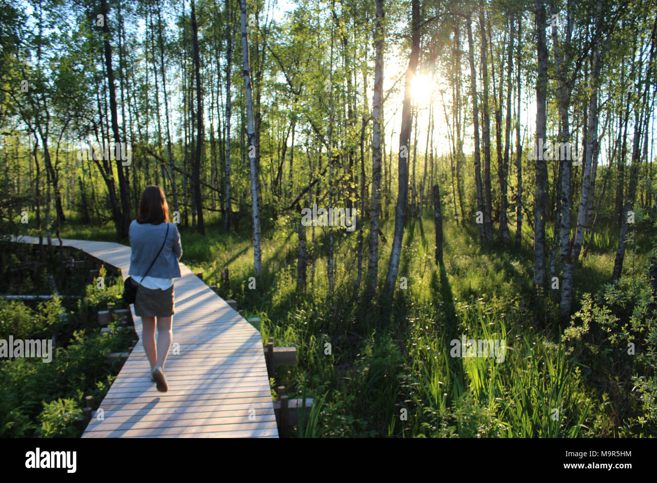 Young woman walkin on pier in the middle of forest at summer Stock Photo