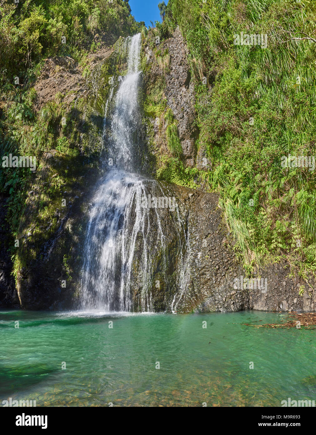 Kitekite Falls In Piha In New Zealand Stock Photo 178145439 Alamy