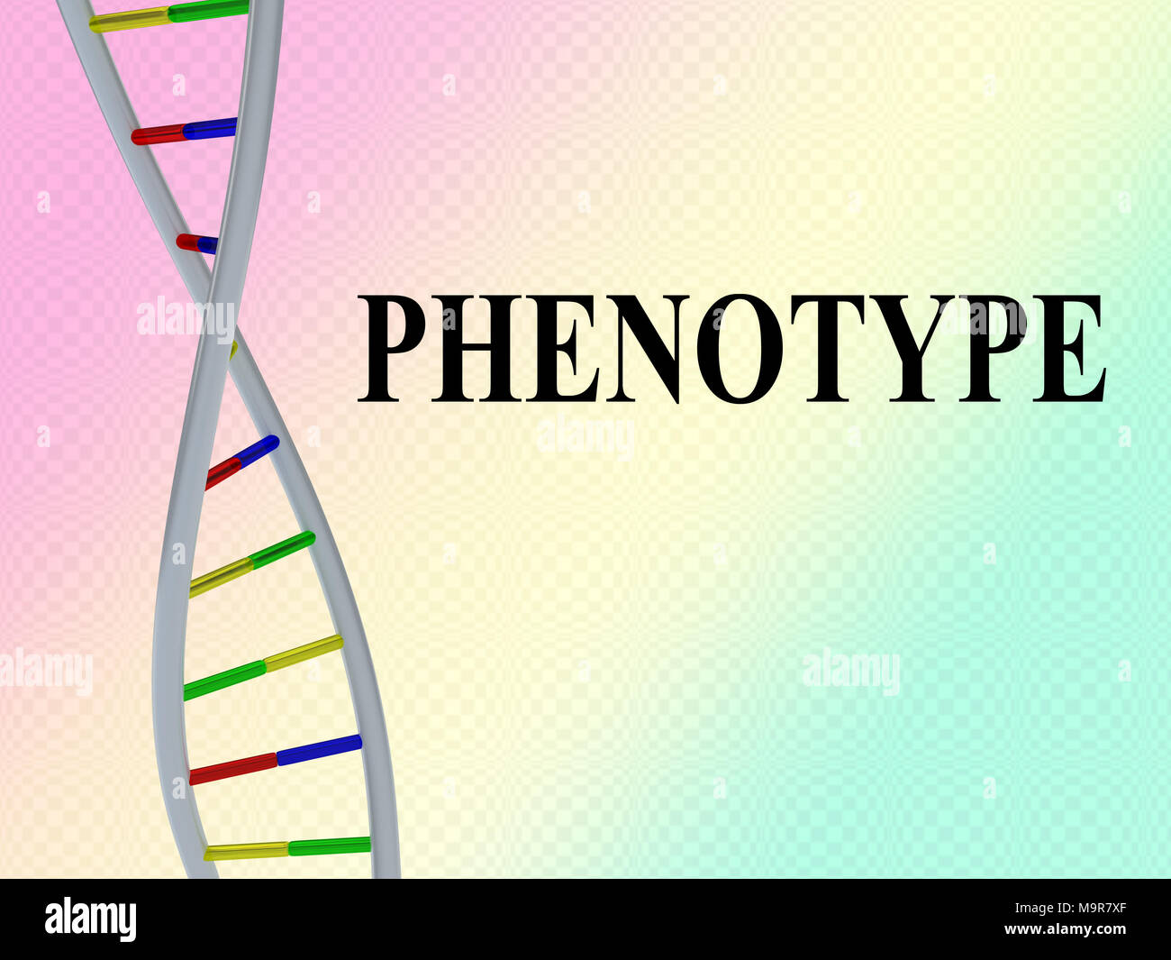 3D illustration of PHENOTYPE script with DNA double helix , isolated on colored pattern. Stock Photo