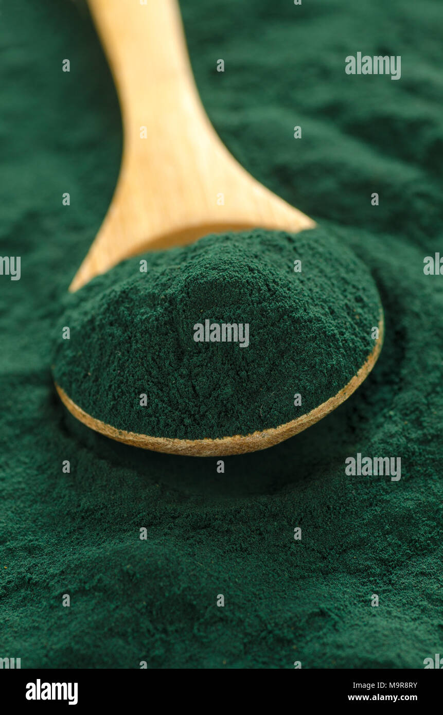 Organic spirulina powder. Spirulina is a superfood used as a food