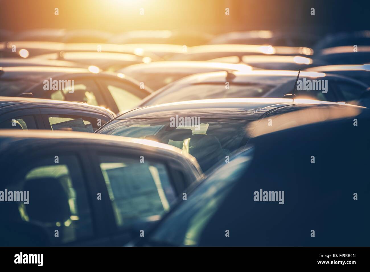 Dealership Lot Full of Cars. Automotive Sales Industry. Brand New and Pre Owned Vehicles For Sale. Stock Photo