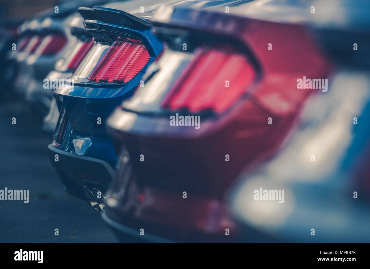 Modern Cars in Dealer Stock. Vehicles Dealership. Row of Cars Closeup Photo. Automotive and Transportation Theme. Stock Photo
