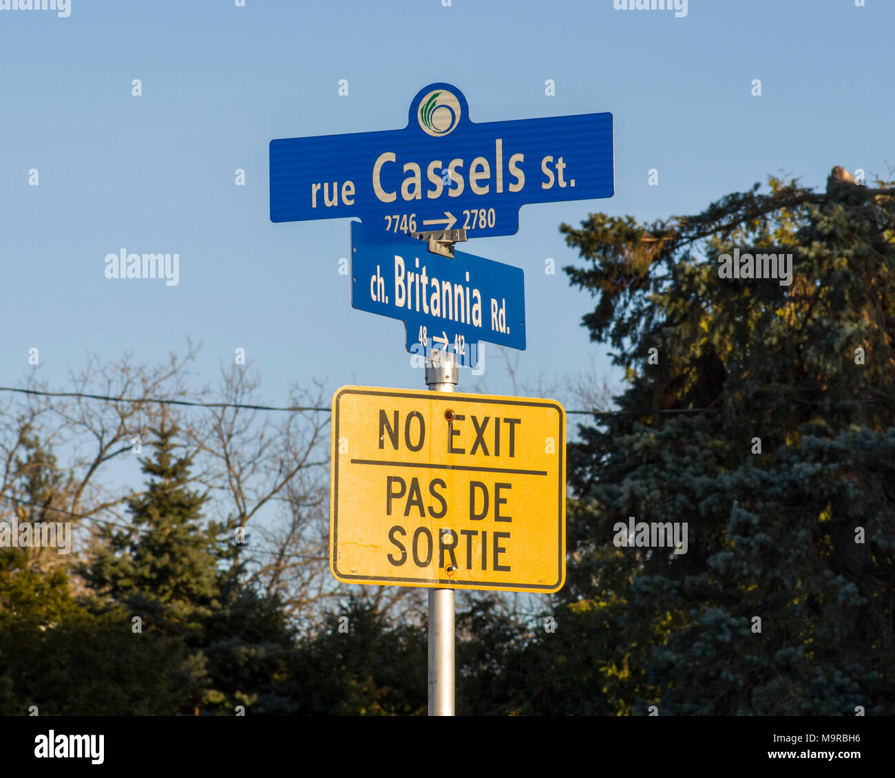 Bilingual no exit and street signs in Ottawa, Canada Stock Photo