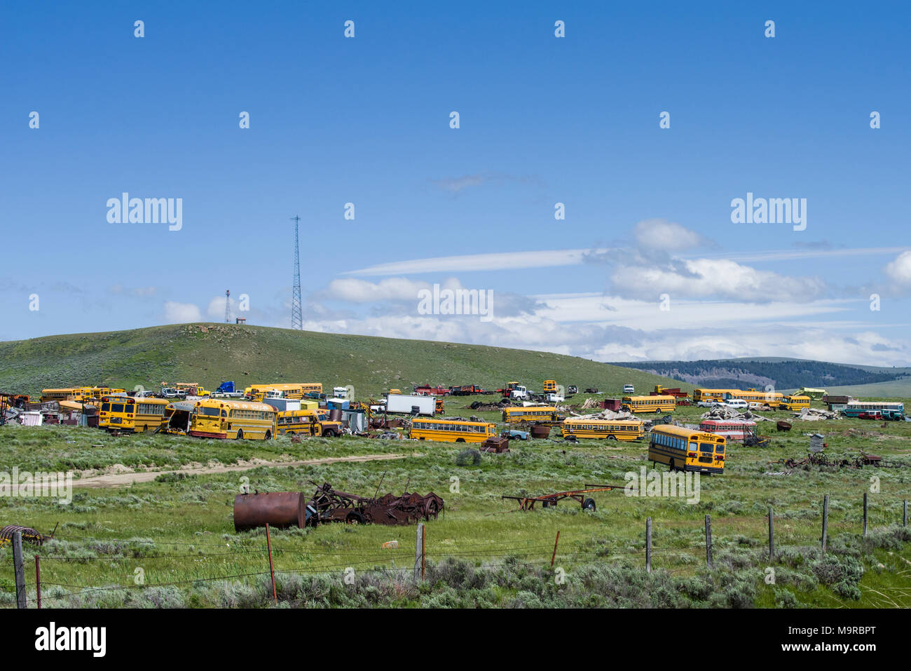 Junk yard of yellow school buses waiting to be scrapped for parts Stock Photo