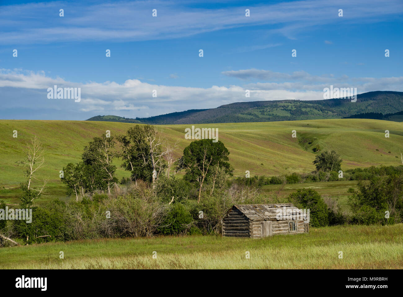 Log cabin in rural Montana with grassy meadow or praire Stock Photo Alamy