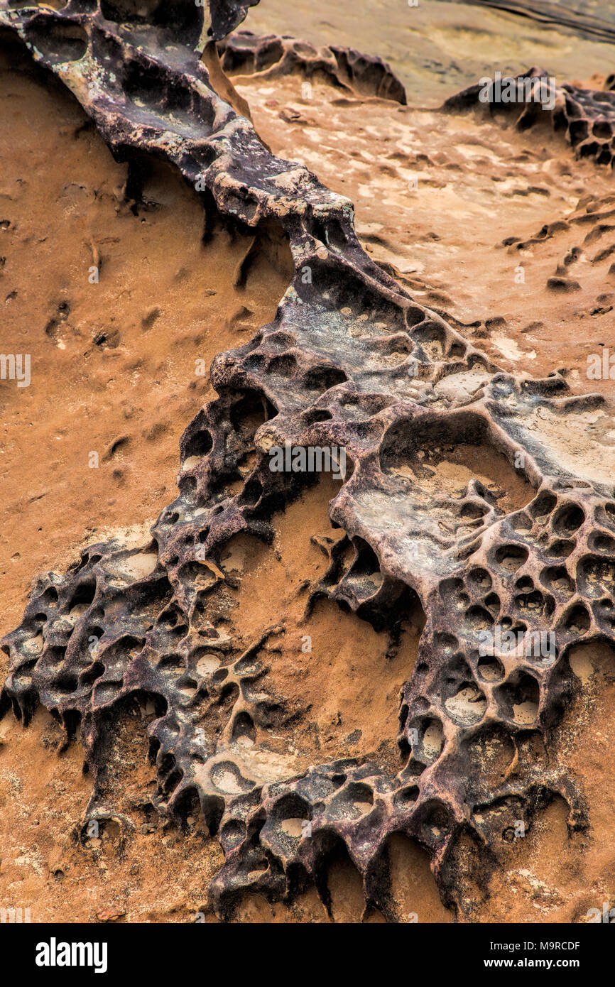 weathering patterns in the limestone within the Yehliu